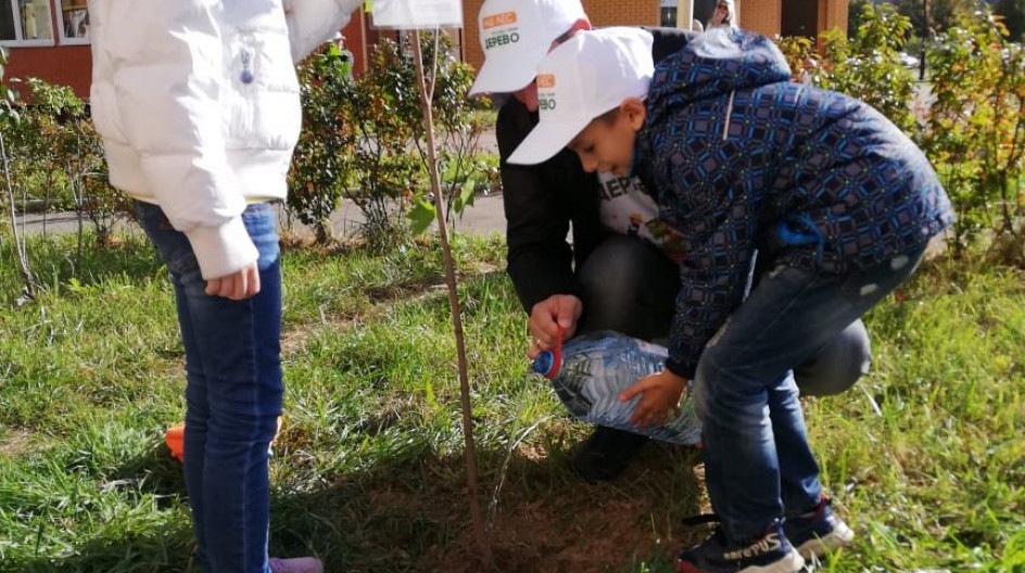Алексей Солдатенко принял участие в акции «Наш лес. Посади свое дерево»