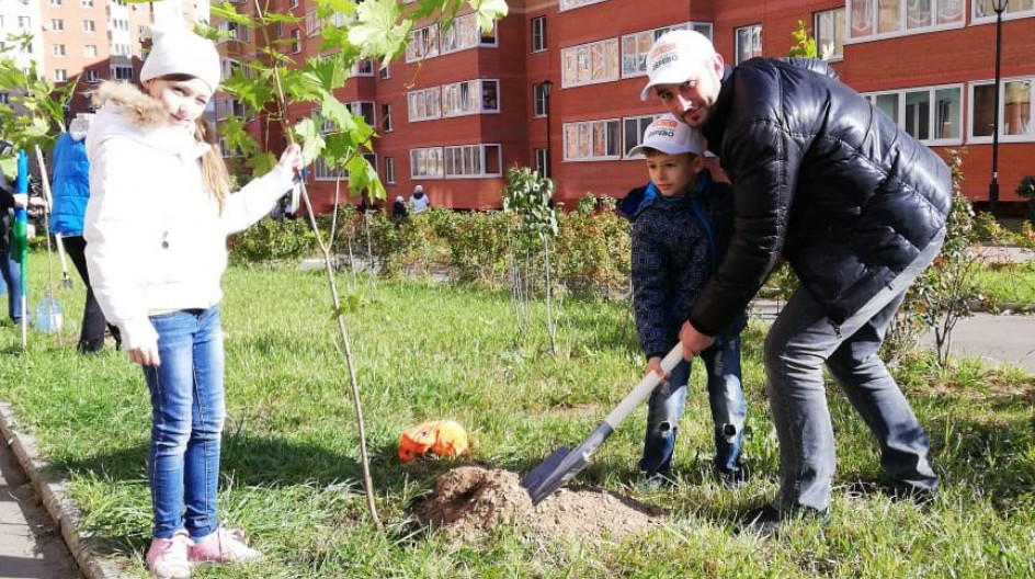 Алексей Солдатенко принял участие в акции «Наш лес. Посади свое дерево»