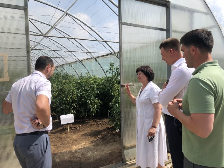 Сенатор Александр Двойных и депутат Мособлдумы Сергей Маликов посетили Федеральный научный центр овощеводства