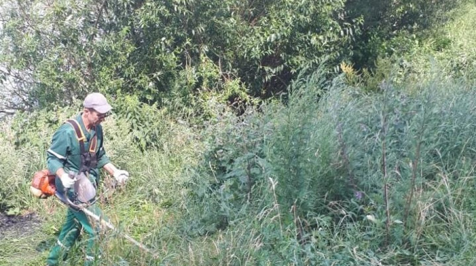 Алексей Солдатенко по просьбе жителей организовал покос травы вдоль береговой линии пруда в поселке ВНИИССОК