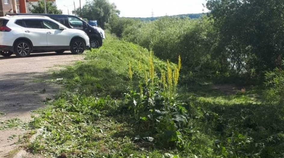 Алексей Солдатенко по просьбе жителей организовал покос травы вдоль береговой линии пруда в поселке ВНИИССОК